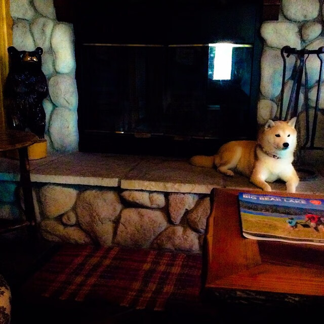 棋局与刀锋，切尔西以掌控之力化解激流，蒂亚戈的精准杀伤