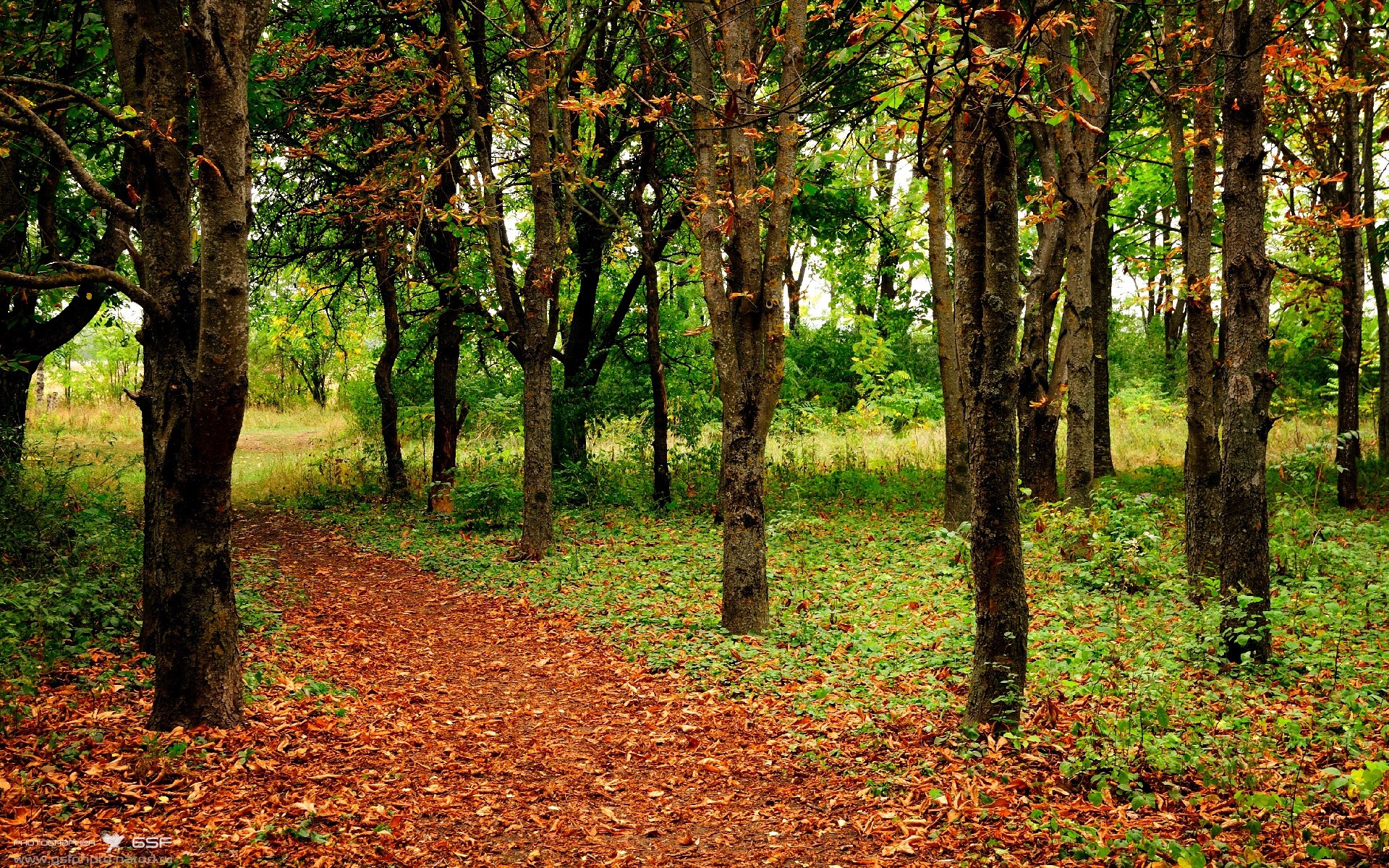平行时空，米切尔空降芝加哥！死亡隔扣+末节20分正面击溃哈利伯顿