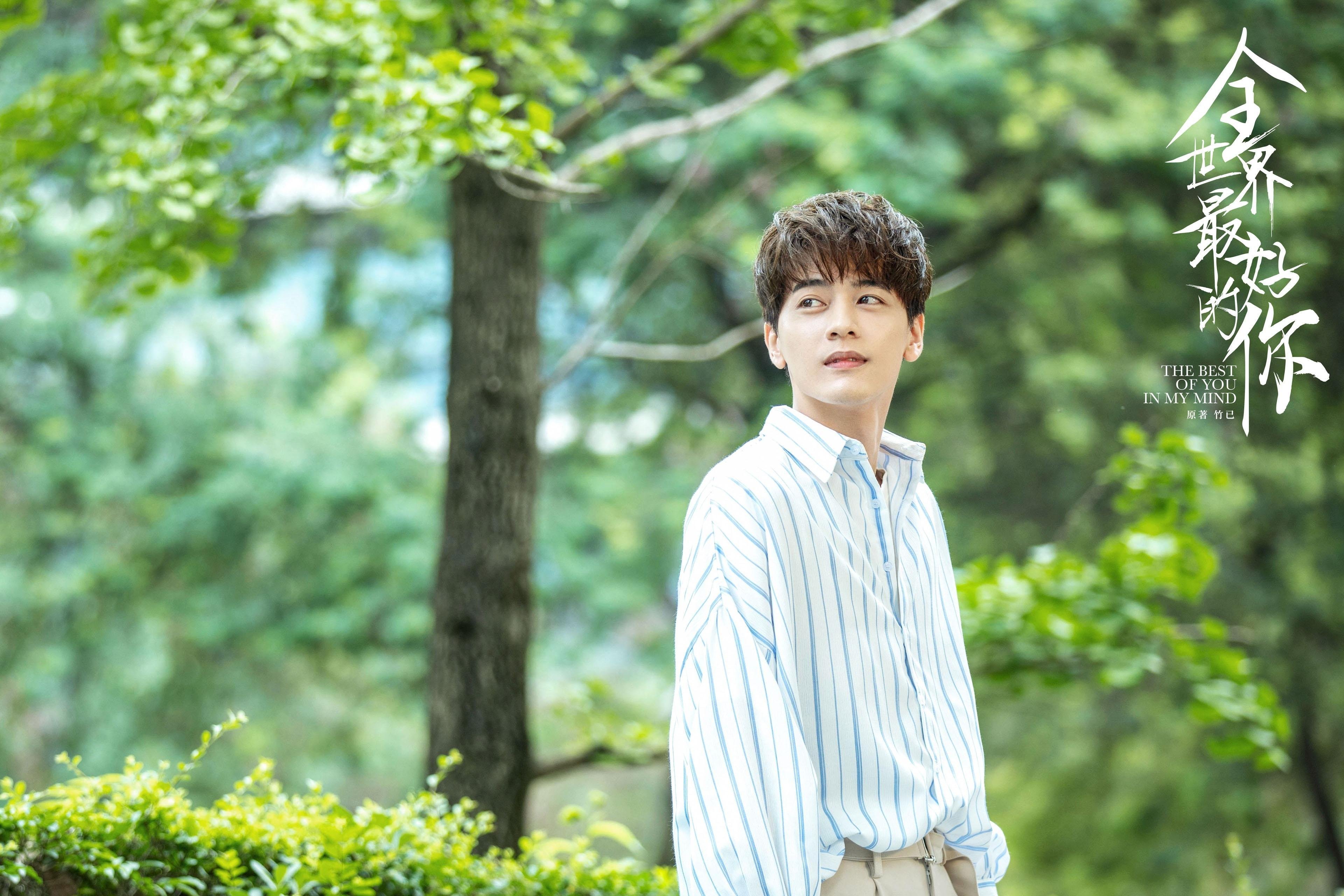 红龙风暴，2026世界杯焦点战，威尔士击溃法国全记录