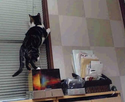 2024.5.8，当时间开始攀爬