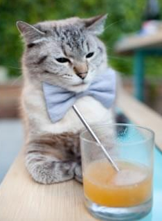 桑巴与雄鹰之争，姆巴佩如何成为巴西带走巴拉圭的关键先生