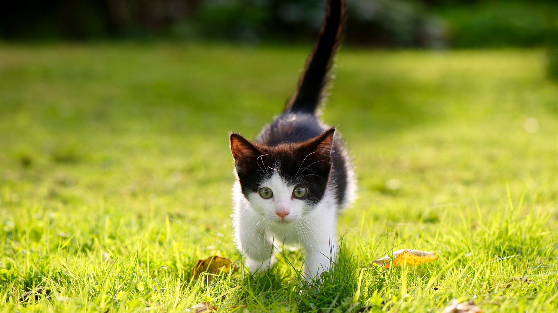 两代亚洲一哥的无声交接，久保建英在国家德比之夜完成历史性蜕变