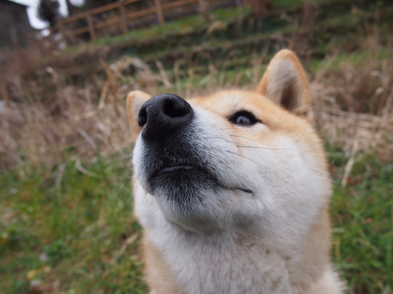 当铁壁化作利刃,阿什拉夫的降维打击,厄瓜多尔坠入无解迷宫
