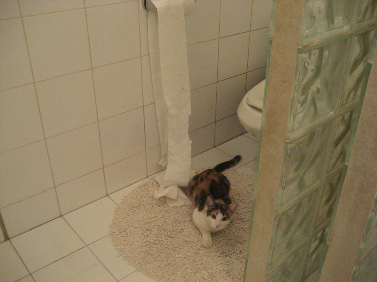 铁血蓝桥新篇章，努涅斯关键一锤定音，切尔西战术完胜掀翻秘鲁劲旅