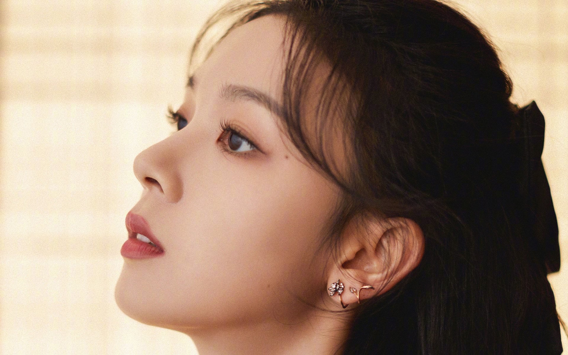 破冰者福克斯，当猎豹的利爪撕碎北境长城