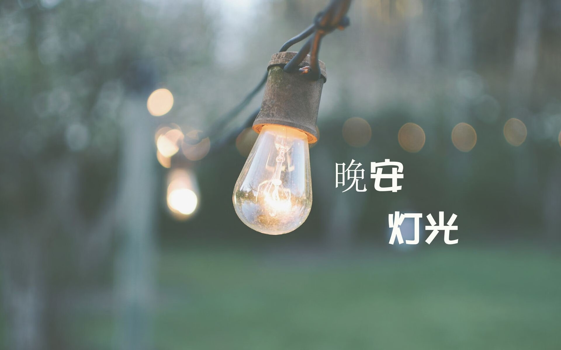 中场定乾坤，锋线耀光芒—2026世界杯G组奥地利大胜冰岛，莱万多夫斯基独领风骚