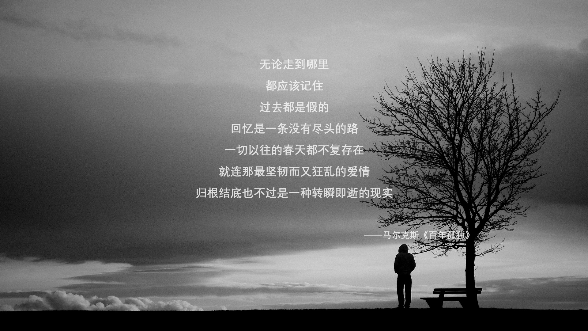 铁幕与飞刀,保加利亚如何用东欧绞肉机战术肢解波兰,塔雷米演绎新式9号半
