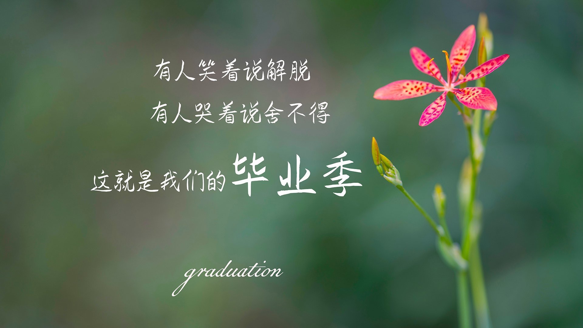 当安第斯的箭矢射穿日耳曼战车,一场改写因果的足球寓言