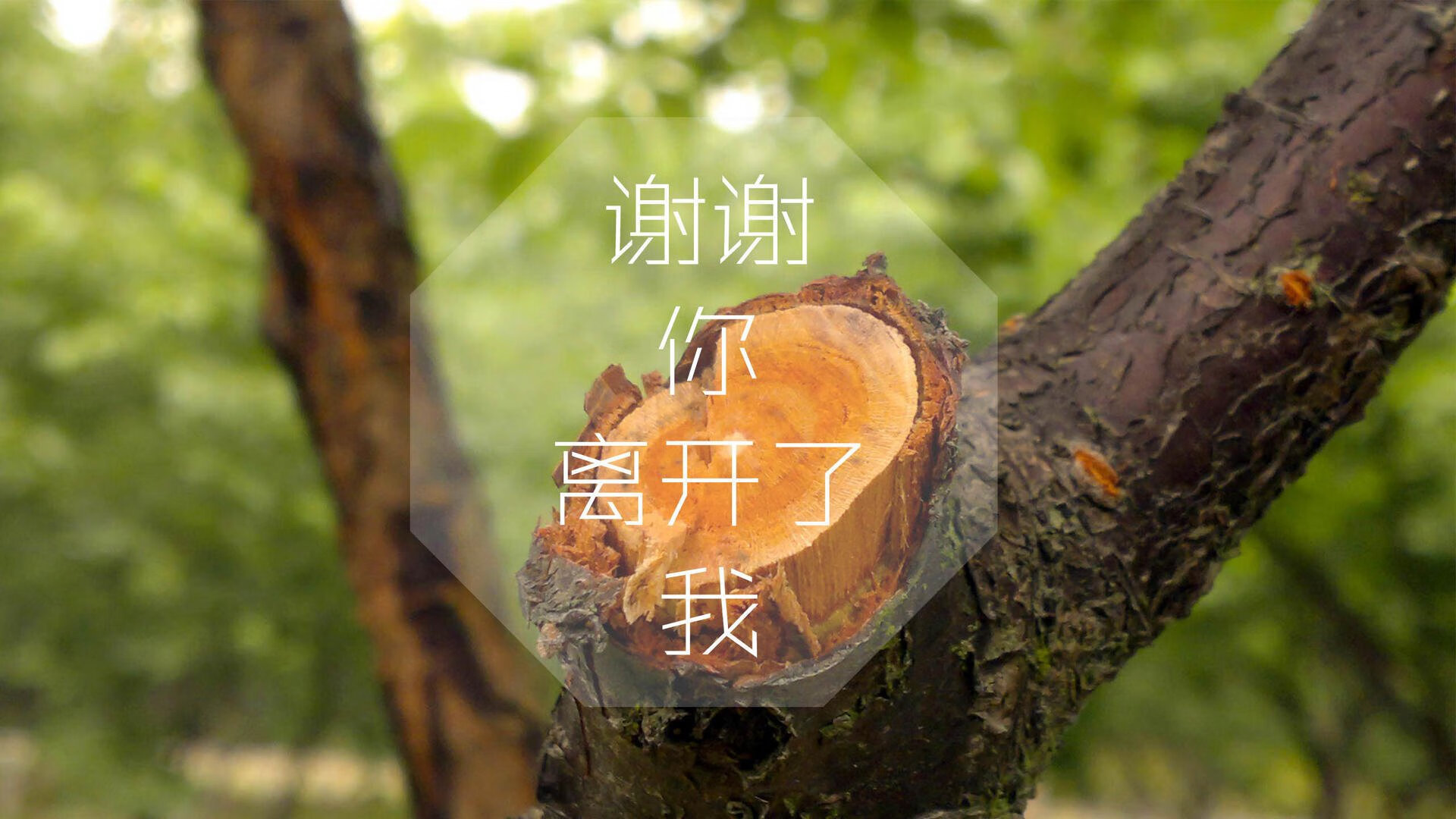 唯一主宰，当南美之蓝统治D组，奥斯梅恩撕开泰国防线
