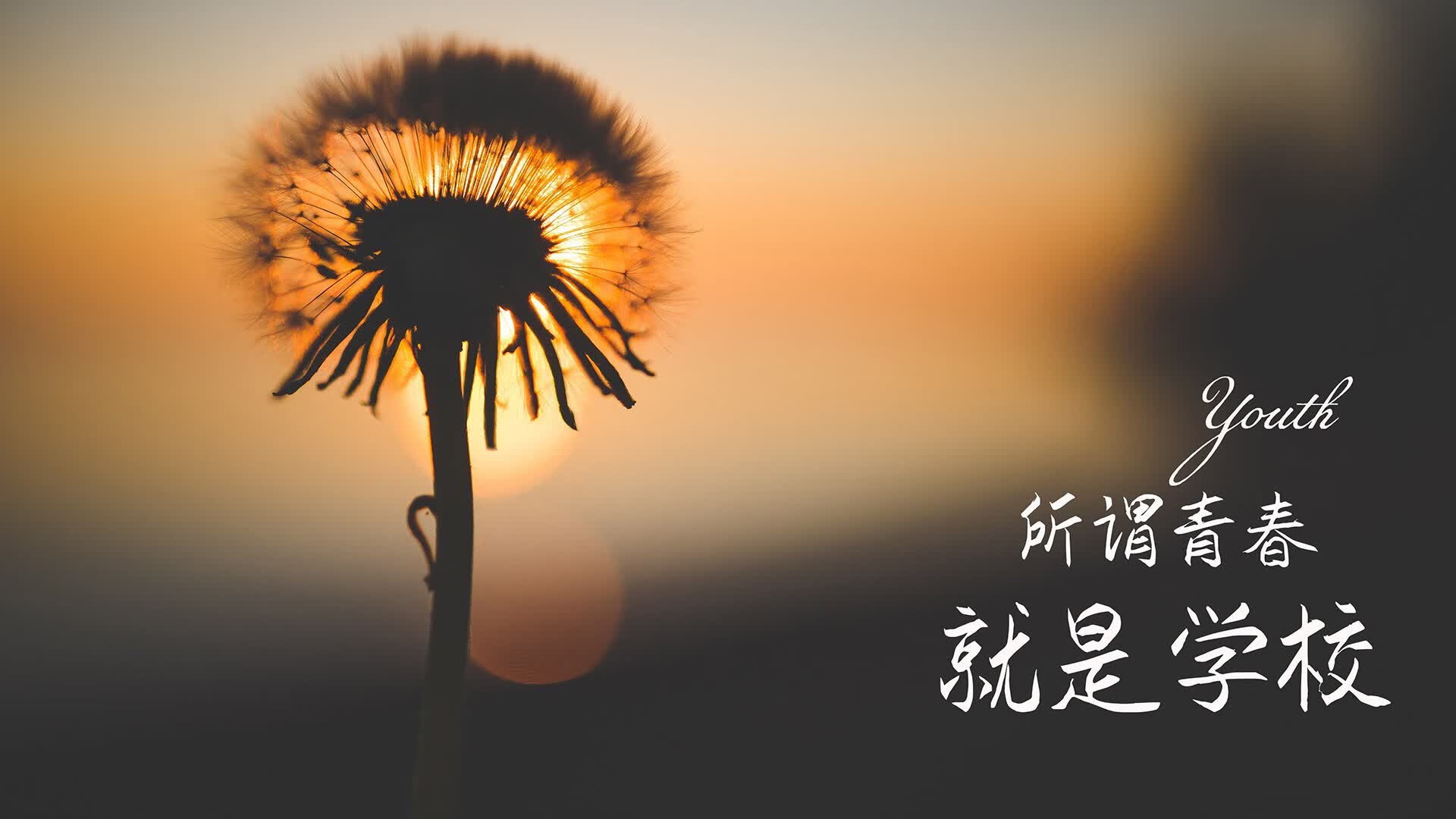 沙漠神话与冬阴功奇迹,当北欧刺客哈兰德为泰国战象送上致命一击